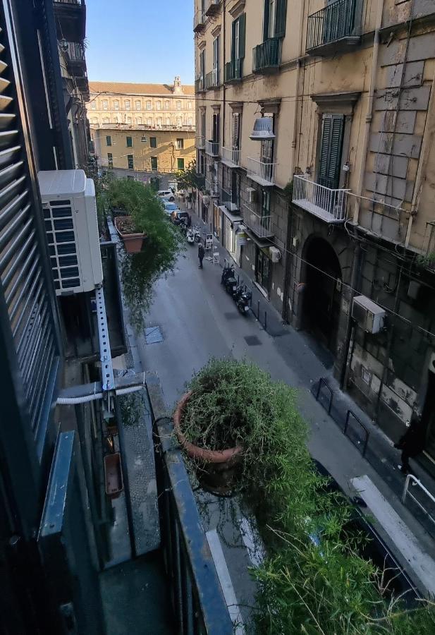 L'arnia * Napoli